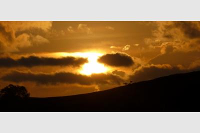 Dambulla - Sri Lanka