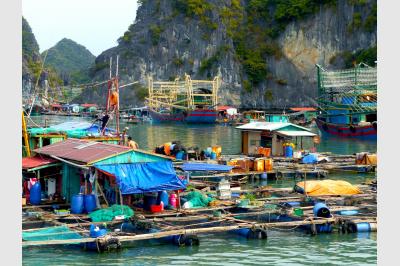 Fishermen - Lan Ha Bay - Vietnam - 15.04