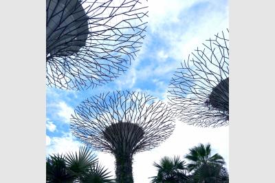 Supertree Grove - Gardens by the Bay - Singapore - 24.06