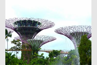 Flowers or not - Gardens by the Bay - Singapore - 24.06